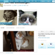 Image for article titled 100 Websites That Shaped the Internet as We Know It